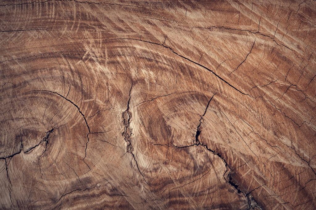 La madera como el futuro en construcción por Grupo Mayfo en la provincia de Granada