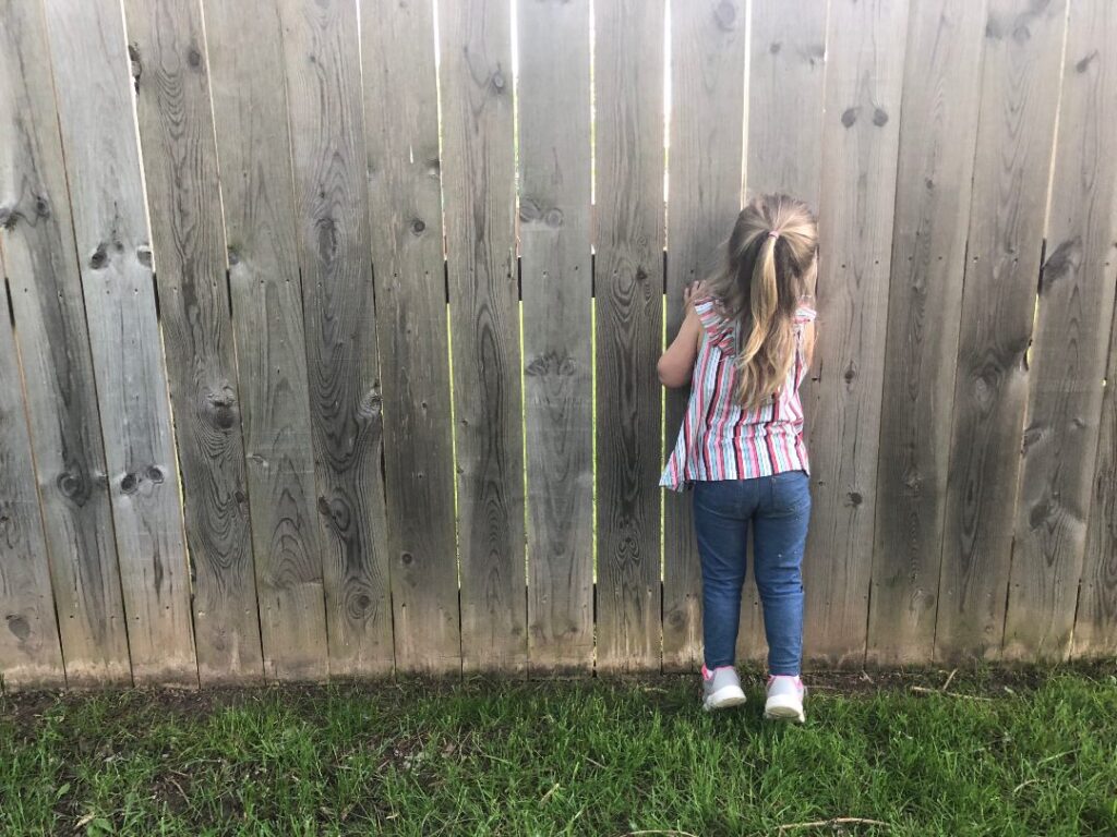 Ideas para protegerte de las miradas del vecino